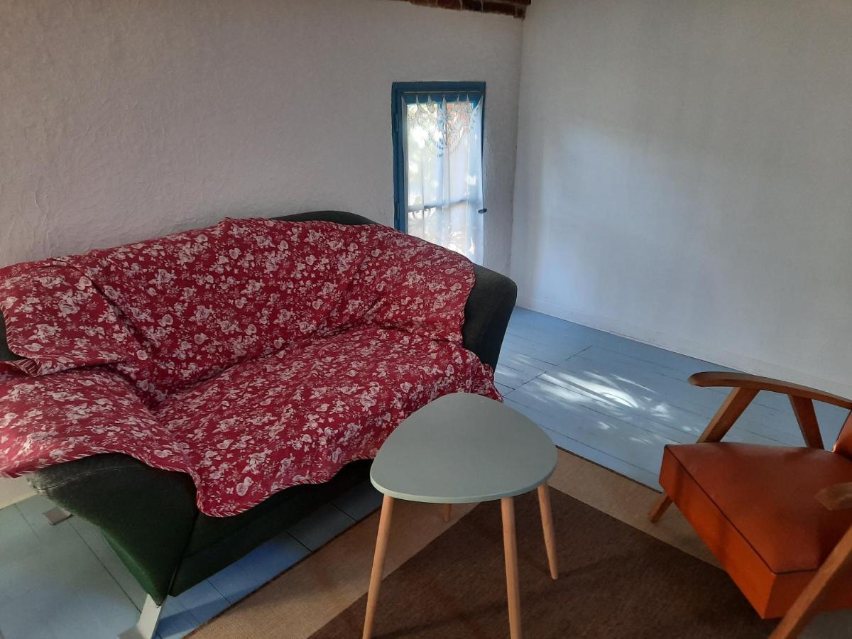 Ma Toulousaine Chambre D'Hotes Тулуза Экстерьер фото
